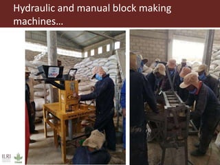 Field trip picture summary