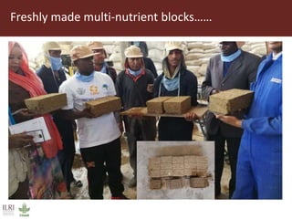 Field trip picture summary