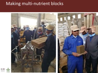 Field trip picture summary