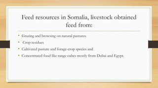 Overview on Somalia feed resources and system