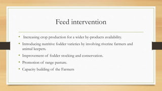 Overview on Somalia feed resources and system