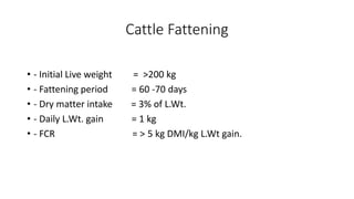 Livestock feed resources and feed system in the Sudan