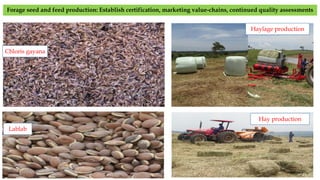 Uganda country brief on identifying investment opportunities for livestock feed resources development in the East African sub-region