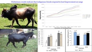 Uganda country brief on identifying investment opportunities for livestock feed resources development in the East African sub-region