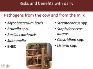 ILRI Food Safety and Zoonoses: India and Bihar | PPTX