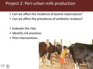 ILRI Food Safety and Zoonoses: India and Bihar