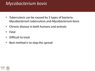 ILRI Food Safety and Zoonoses: India and Bihar