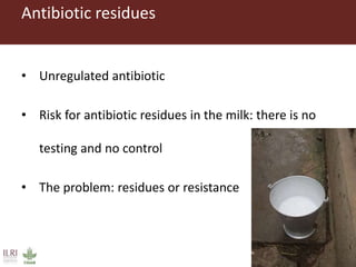 ILRI Food Safety and Zoonoses: India and Bihar