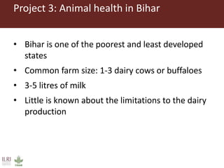 ILRI Food Safety and Zoonoses: India and Bihar