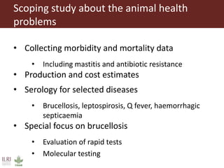 ILRI Food Safety and Zoonoses: India and Bihar