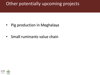 ILRI Food Safety and Zoonoses: India and Bihar