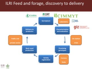 Opportunities for forage improvement through the ILRI Genebank