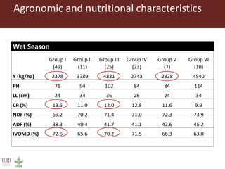 Opportunities for forage improvement through the ILRI Genebank
