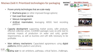 Better lives through livestock: ILRI in East Africa focus on dairy