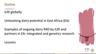 Better lives through livestock: ILRI in East Africa focus on dairy