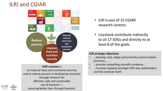 Better lives through livestock: ILRI in East Africa focus on dairy