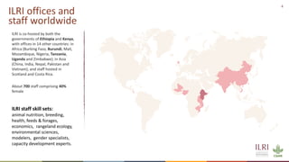 Better lives through livestock: ILRI in East Africa focus on dairy