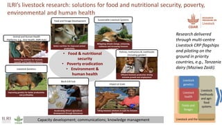 Better lives through livestock: ILRI in East Africa focus on dairy