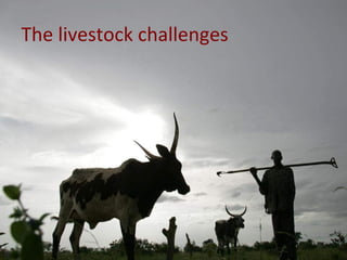 The African livestock sector: A research view of priorities and strategies