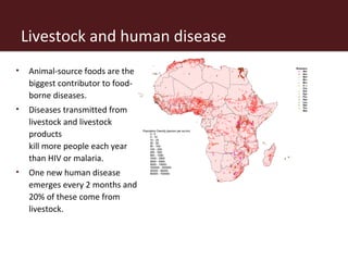 The African livestock sector: A research view of priorities and strategies