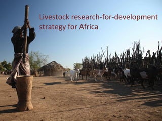 The African livestock sector: A research view of priorities and strategies