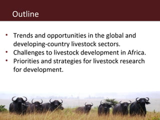 The African livestock sector: A research view of priorities and strategies
