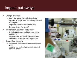 The African livestock sector: A research view of priorities and strategies