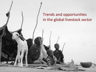 The African livestock sector: A research view of priorities and strategies