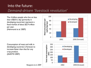 The African livestock sector: A research view of priorities and strategies