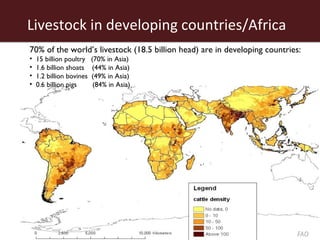 The African livestock sector: A research view of priorities and strategies