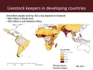 The African livestock sector: A research view of priorities and strategies