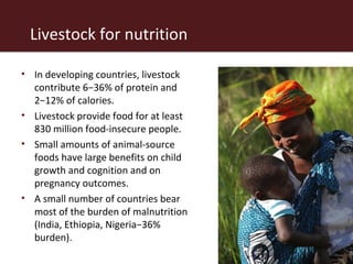 The African livestock sector: A research view of priorities and strategies