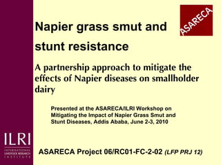 Napier grass smut and  stunt resistance ASARECA Project 06/RC01-FC-2-02  (LFP PRJ 12)   A partnership approach to mitigate the effects of Napier diseases on smallholder dairy Presented at the ASARECA/ILRI Workshop on Mitigating the Impact of Napier Grass Smut and Stunt Diseases, Addis Ababa, June 2-3, 2010 