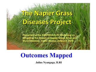 The Napier Grass Diseases Project Julius Nyangaga, ILRI Outcomes Mapped  Presented at the ASARECA/ILRI Workshop on Mitigating the Impact of Napier Grass Smut and Stunt Diseases, Addis Ababa, June 2-3, 2010 