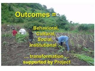 The Napier Grass Diseases Project: Outcomes mapped