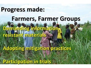 The Napier Grass Diseases Project: Outcomes mapped