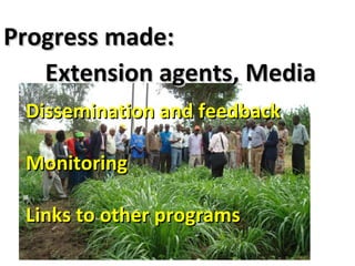 The Napier Grass Diseases Project: Outcomes mapped