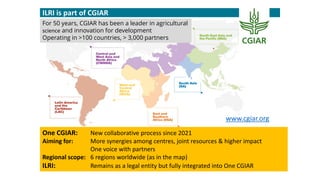 ILRI’s key programs to address infectious diseases, areas requiring international cooperation, and plans for cooperation with the Republic of Korea