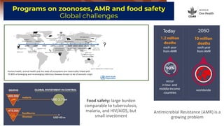 ILRI’s key programs to address infectious diseases, areas requiring international cooperation, and plans for cooperation with the Republic of Korea