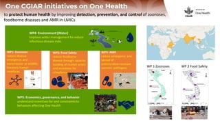 ILRI’s key programs to address infectious diseases, areas requiring international cooperation, and plans for cooperation with the Republic of Korea