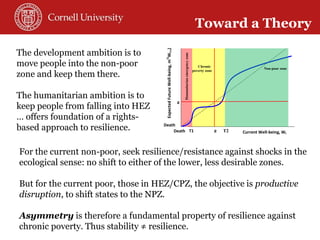 Toward a theory of resilience for international development applications: With some reflections on practical implications