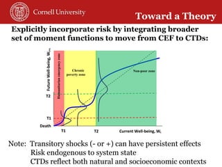 Toward a theory of resilience for international development applications: With some reflections on practical implications