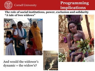 Toward a theory of resilience for international development applications: With some reflections on practical implications