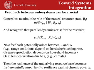 Toward a theory of resilience for international development applications: With some reflections on practical implications