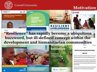 Toward a theory of resilience for international development applications: With some reflections on practical implications