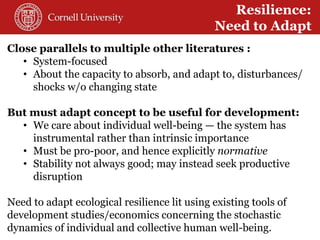 Toward a theory of resilience for international development applications: With some reflections on practical implications