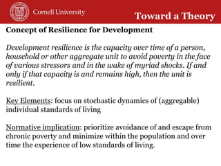 Toward a theory of resilience for international development applications: With some reflections on practical implications