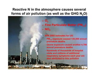 Manure happens: Altering the global nitrogen cycle by feeding about seven billion carnivorous humans