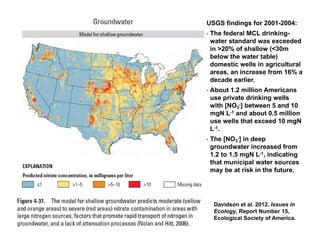 Manure happens: Altering the global nitrogen cycle by feeding about seven billion carnivorous humans