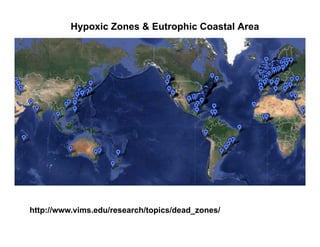 Manure happens: Altering the global nitrogen cycle by feeding about seven billion carnivorous humans